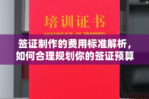 通榆签证制作的费用标准解析，如何合理规划你的签证预算